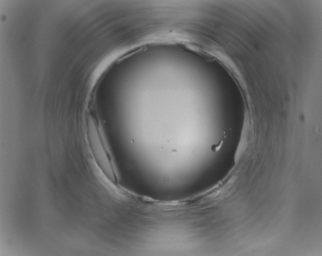 X0000067911344200604271908