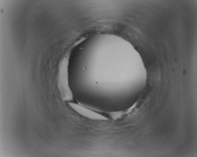 X0000067911345200604271907