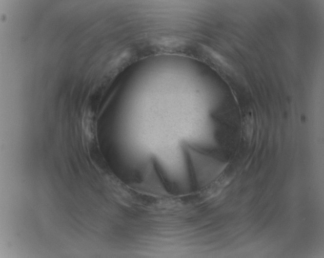 X0000067911346200604271907