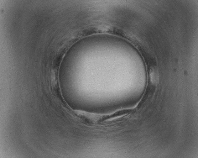 X0000067911347200604271907