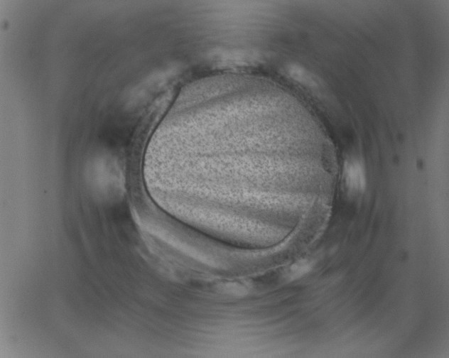 X0000067911348200604271907