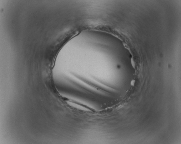 X0000067911349200604271907