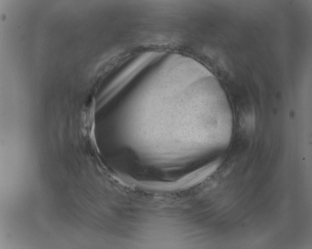 X0000067911350200604271907