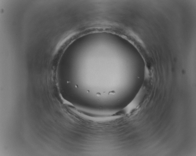 X0000067911352200604271907