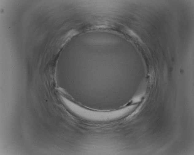 X0000067911353200604271907