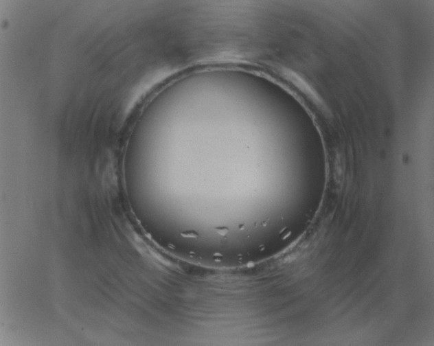 X0000067911356200604271907