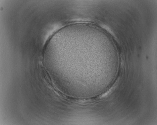 X0000067911357200604271907