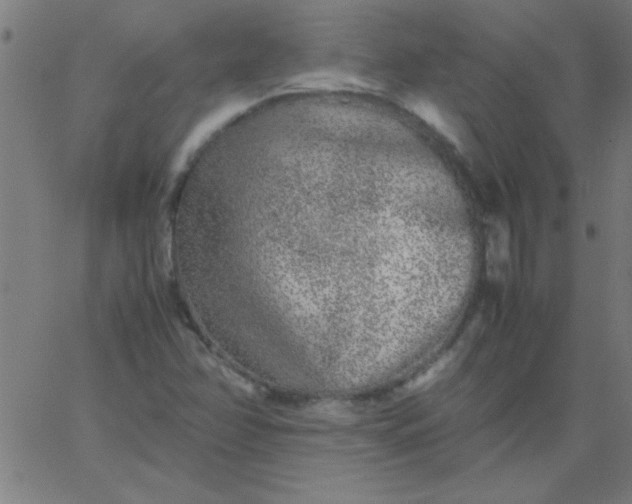 X0000067911358200604271907