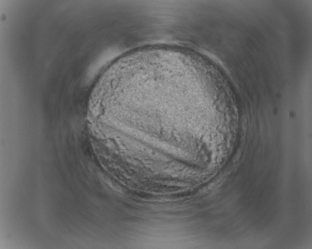 X0000067911359200604271907