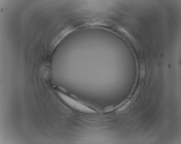 X0000067911361200604271907