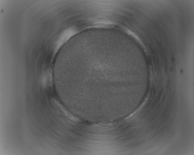 X0000067911362200604271907