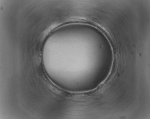 X0000067911363200604271907