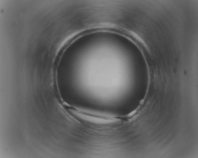 X0000067911364200604271907