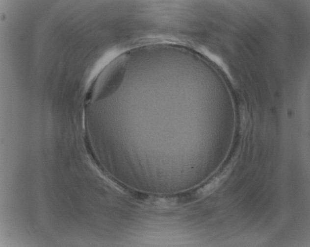 X0000067911365200604271907