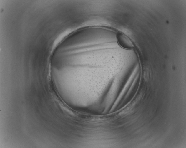 X0000067911366200604271907