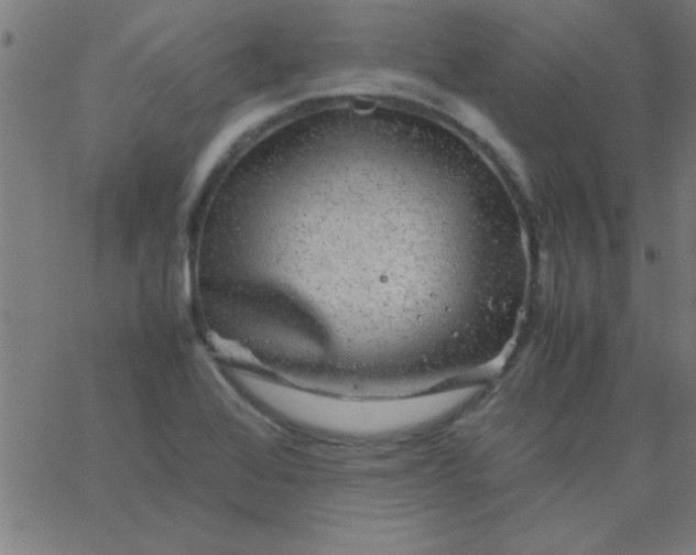 X0000067911368200604271907