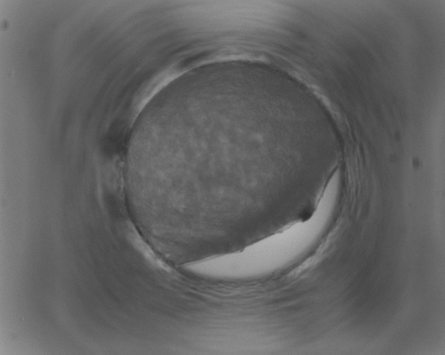 X0000067911369200604271907