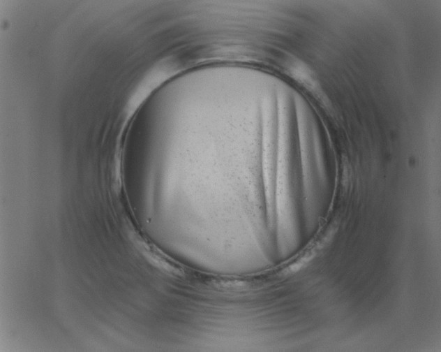 X0000067911370200604271907