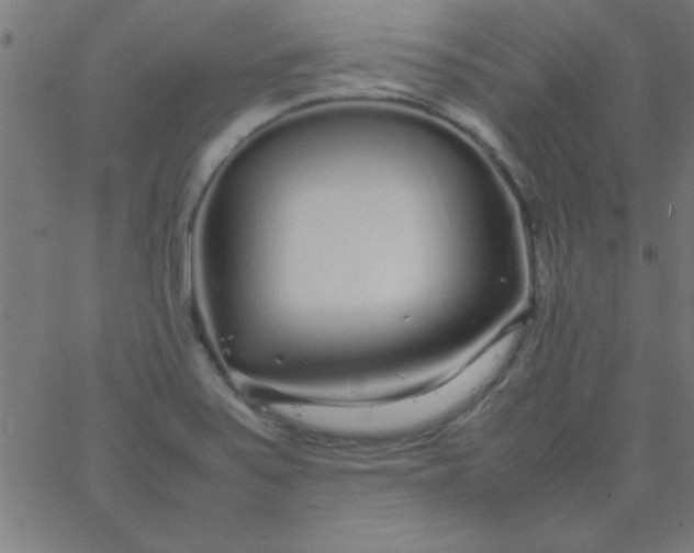 X0000067911371200604271907