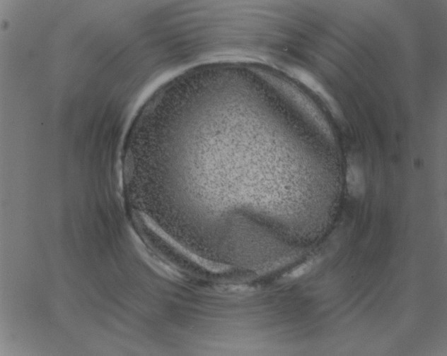 X0000067911372200604271907