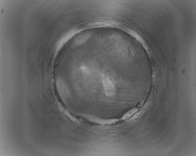 X0000067911373200604271907