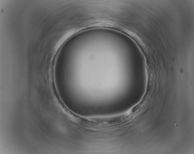 X0000067911375200604271907