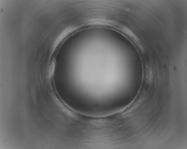 X0000067911376200604271907