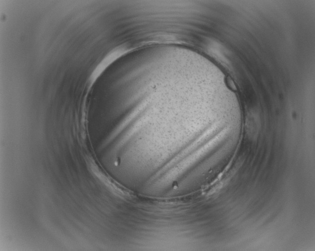 X0000067911378200604271907