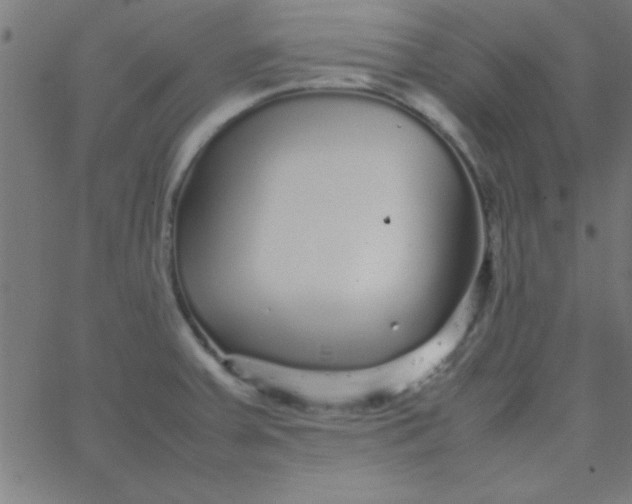 X0000067911379200604271907