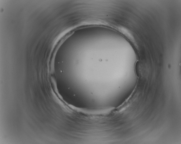 X0000067911380200604271907