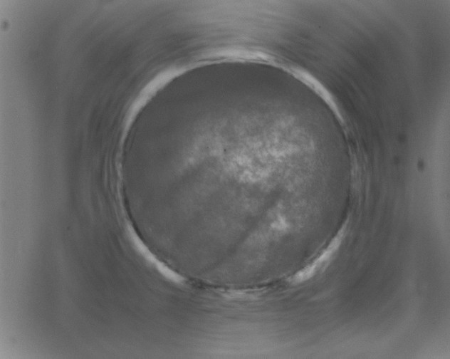 X0000067911381200604271907