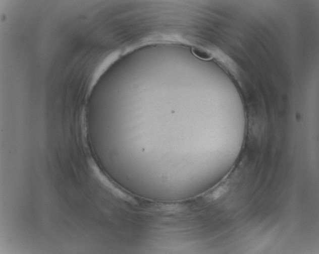 X0000067911382200604271907