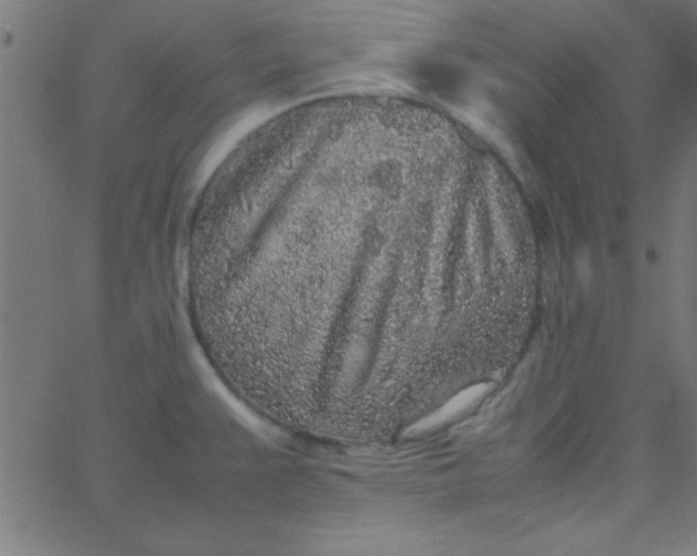 X0000067911383200604271907