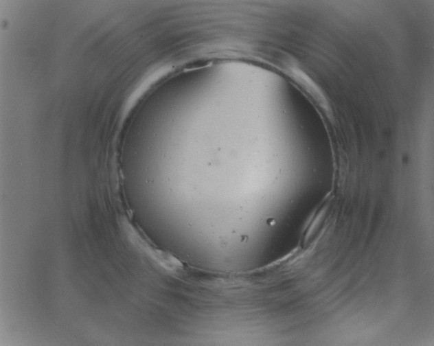 X0000067911384200604271907