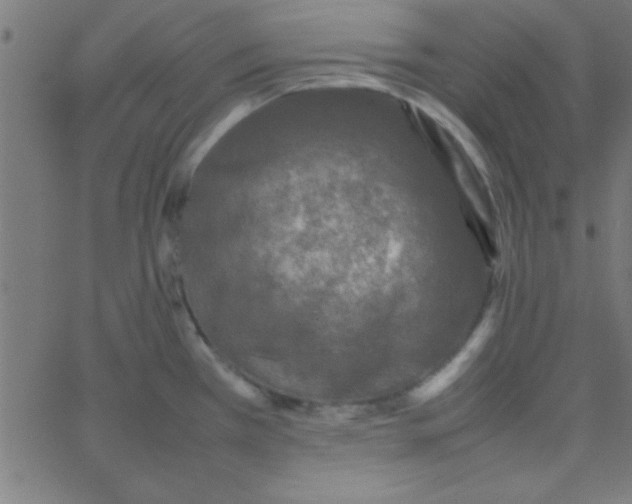 X0000067911385200604271907