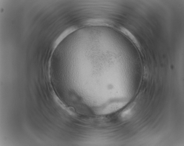 X0000067911386200604271907