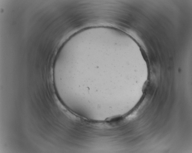 X0000067911388200604271907