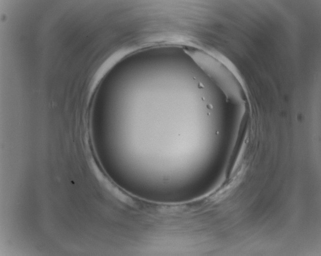 X0000067911389200604271907