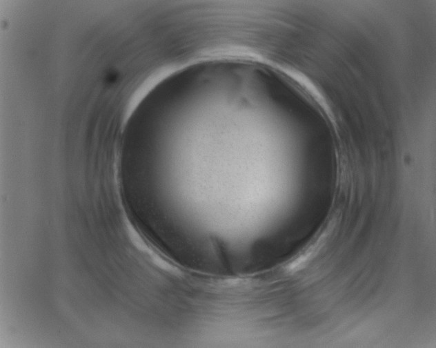 X0000067911390200604271907