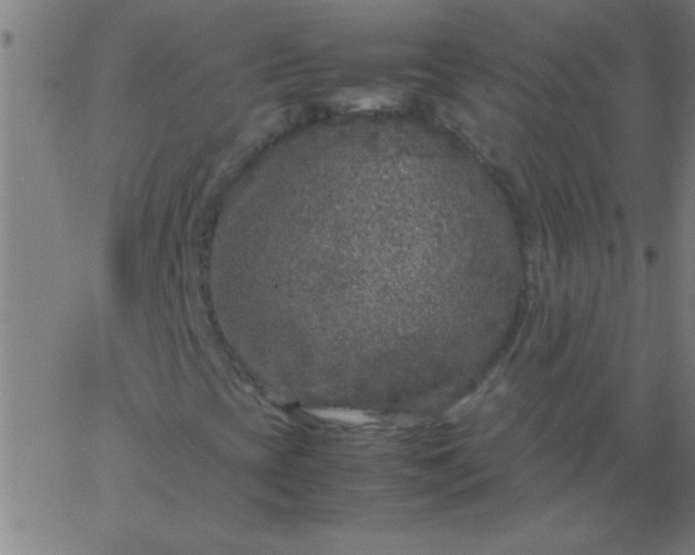 X0000067911393200604271906