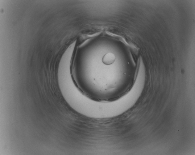 X0000067911394200604271906