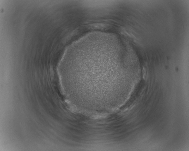 X0000067911395200604271906