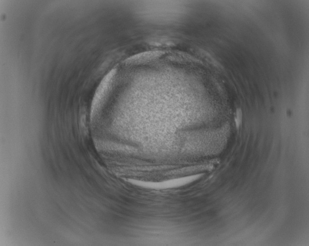 X0000067911396200604271906