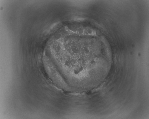 X0000067911397200604271906