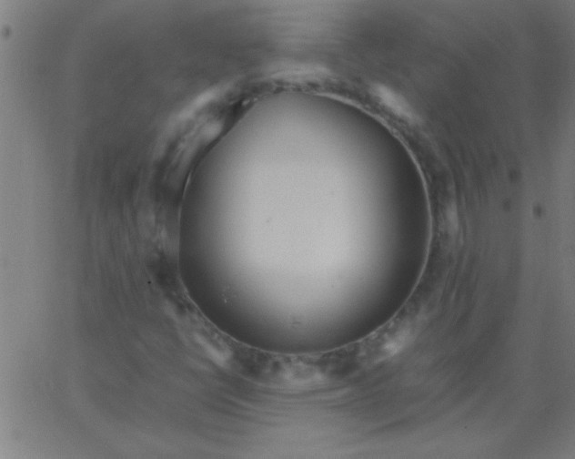 X0000067911398200604271906