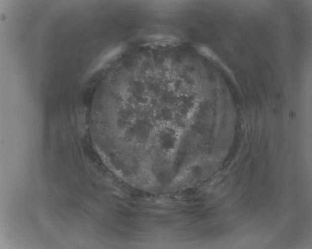 X0000067911399200604271906