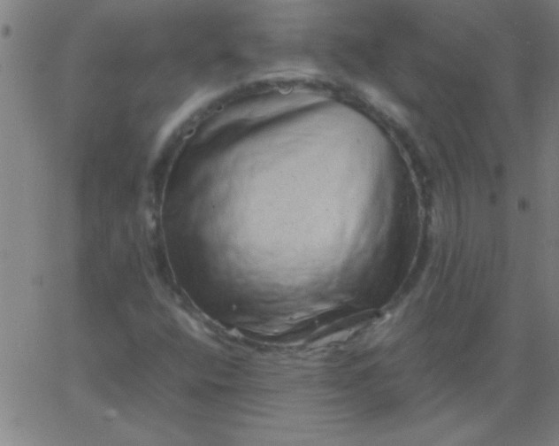 X0000067911400200604271906