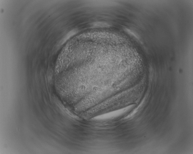 X0000067911401200604271906