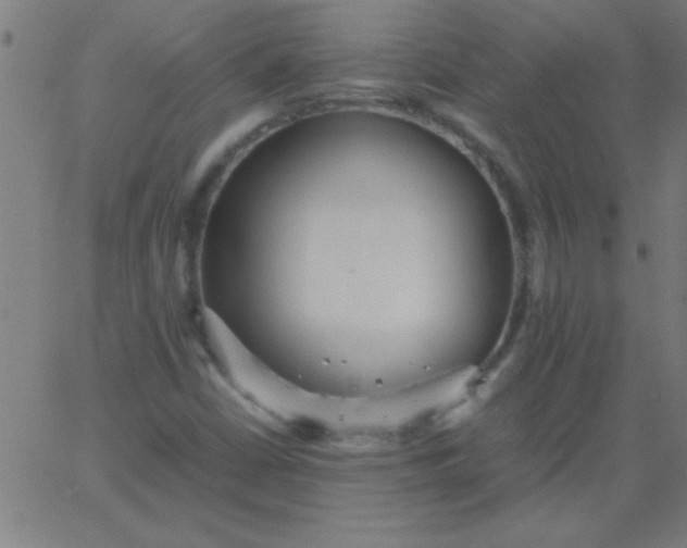 X0000067911402200604271906