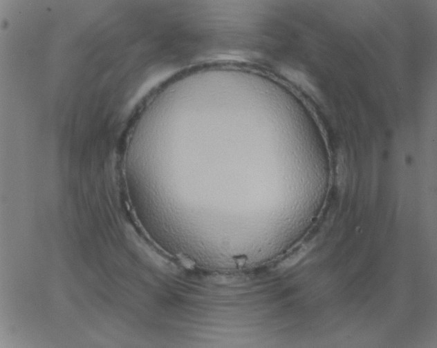 X0000067911404200604271906